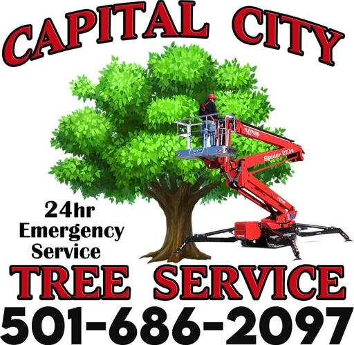 Capital City Tree Service logo